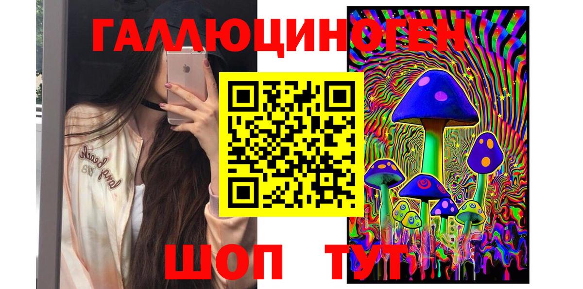 Урус-Мартан  Галлюциногенные грибы Psilocybine cubensis  Псилоцибиновые грибы прущие грибы  Вход с VPN 